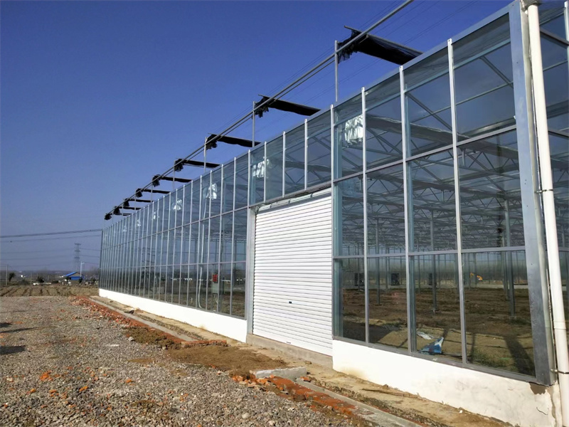 夏季溫室大棚降溫的方法有哪些？